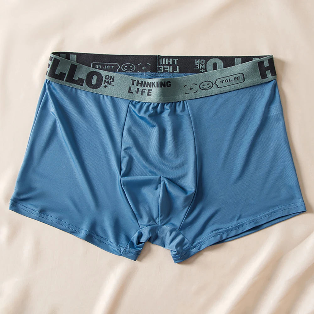 5pcs Boxer Shorts Ice Silk Men's Underwear Summer Breathable Underpants