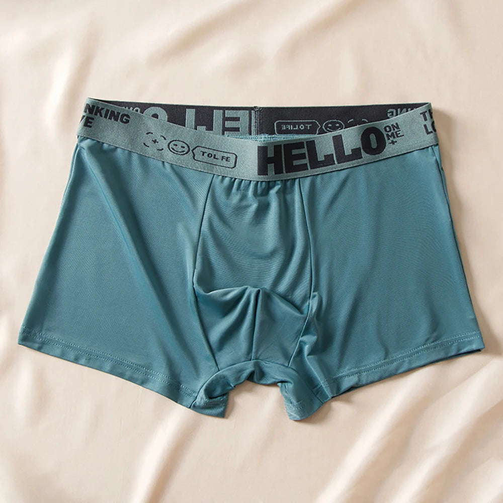 5pcs Boxer Shorts Ice Silk Men's Underwear Summer Breathable Underpants
