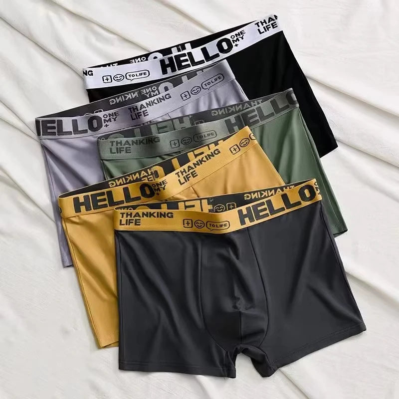 5pcs Boxer Shorts Ice Silk Men's Underwear Summer Breathable Underpants