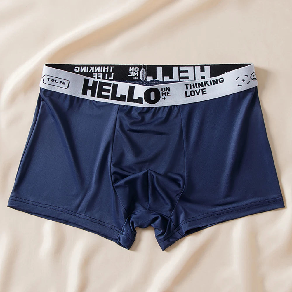 5pcs Boxer Shorts Ice Silk Men's Underwear Summer Breathable Underpants