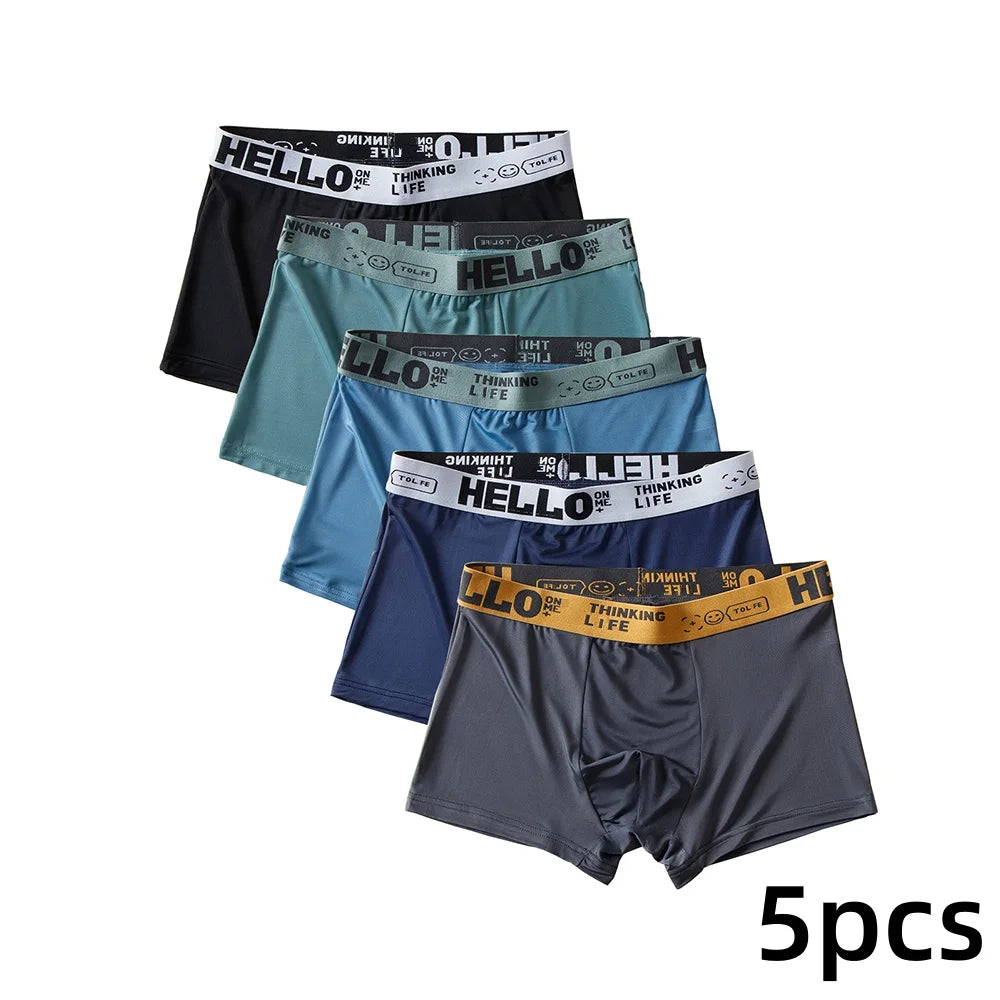 5pcs Boxer Shorts Ice Silk Men's Underwear Summer Breathable Underpants
