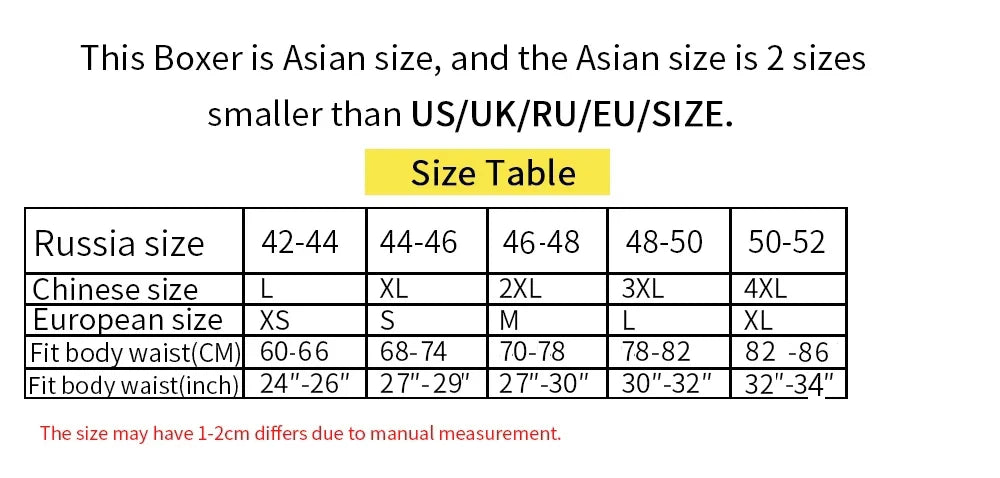 5pcs Boxer Shorts Ice Silk Men's Underwear Summer Breathable Underpants