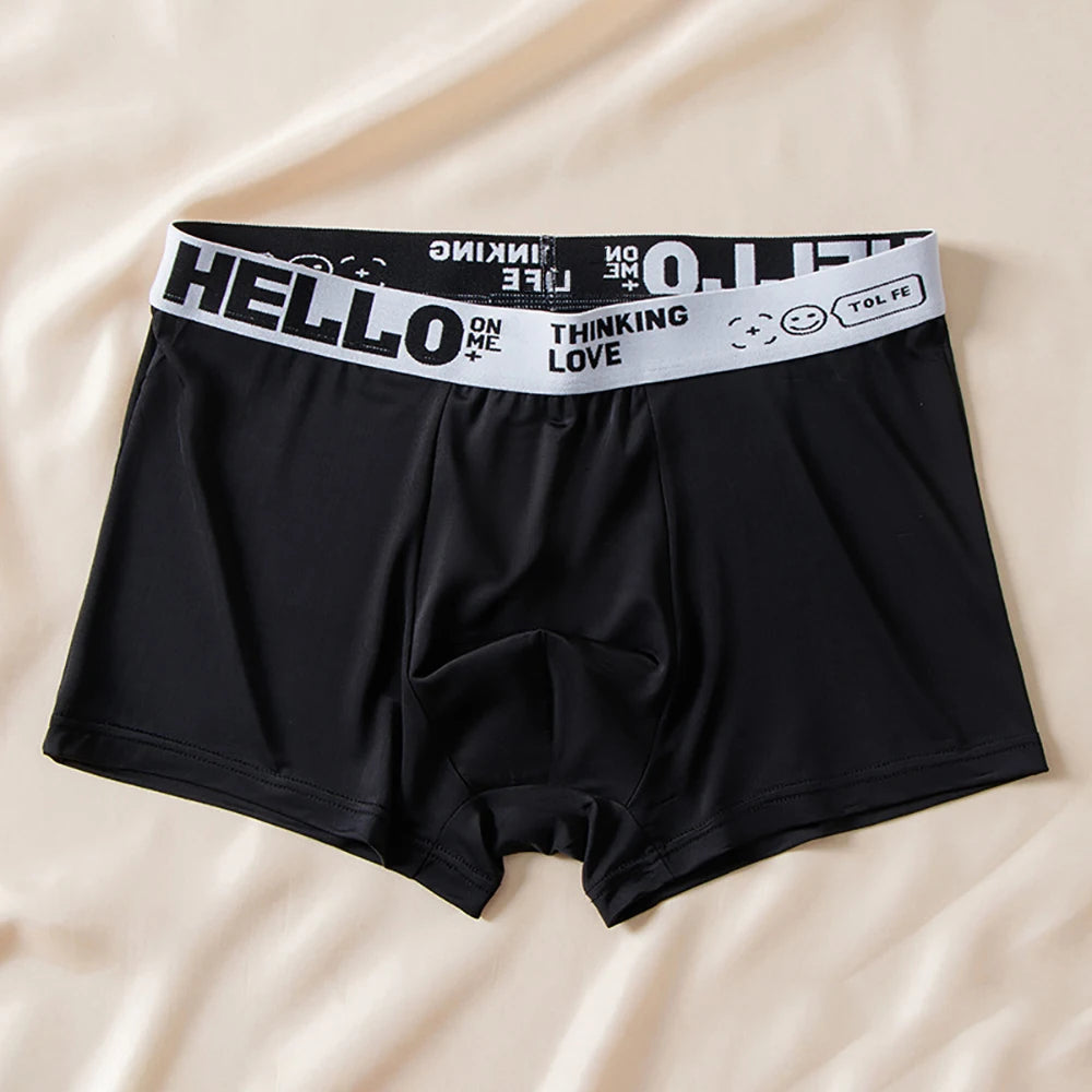 5pcs Boxer Shorts Ice Silk Men's Underwear Summer Breathable Underpants